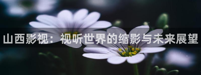 木瓜影视大全免费追剧：山西影视：视听世界的缩影与未来展望