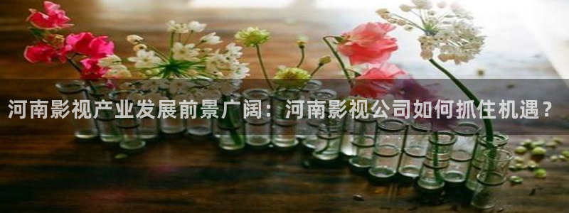 午夜木瓜电影网：河南影视产业发展前景广阔：河南影视公司如何抓住机遇？