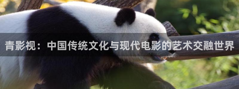 木瓜电影网伦理：青影视：中国传统文化与现代电影的艺术交融世界