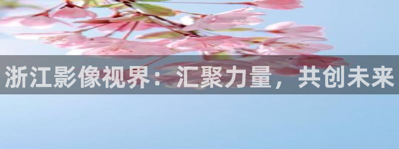 木瓜影视院：浙江影像视界：汇聚力量，共创未来