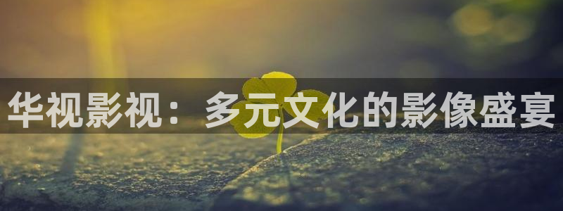 木瓜影院tv：华视影视：多元文化的影像盛宴