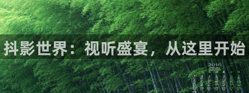 木瓜影视下载：抖影世界：视听盛宴，从这里开始